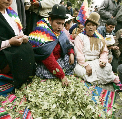 La sagrada hoja de coca usada en ritos andinos