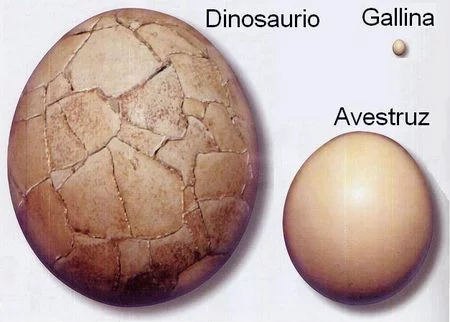 Huevos de dinosaurios