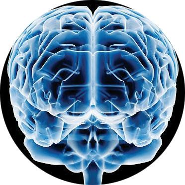 Cerebro