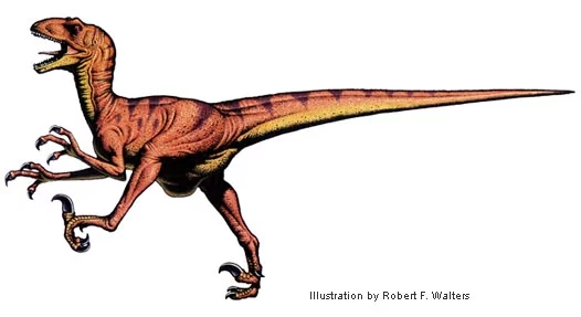 Deinonychus