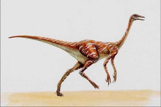 Struthiomimus