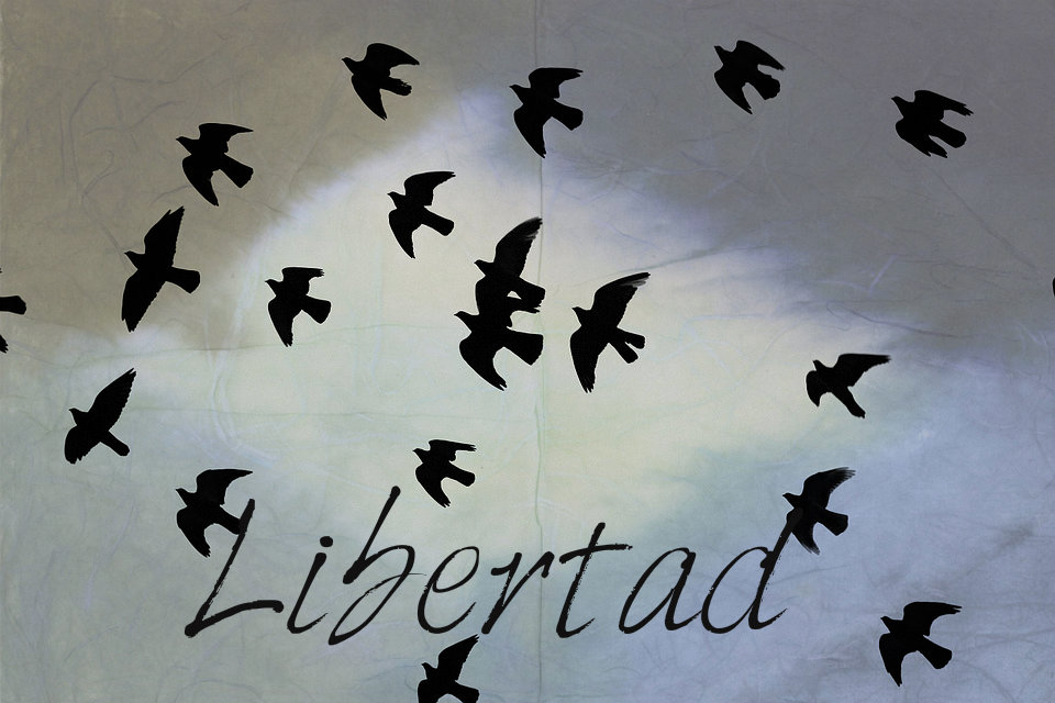 Significado de la palabra libertad