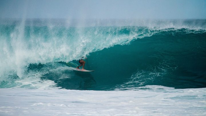 Normas de surf