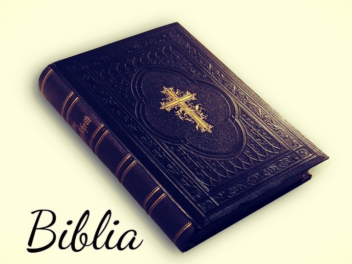 Significado de la palabra biblia